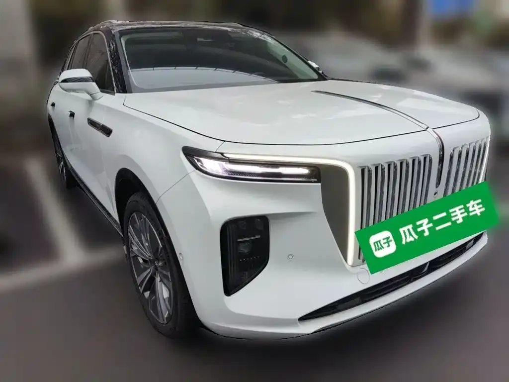 Hongqi E-HS9 — фото 3
