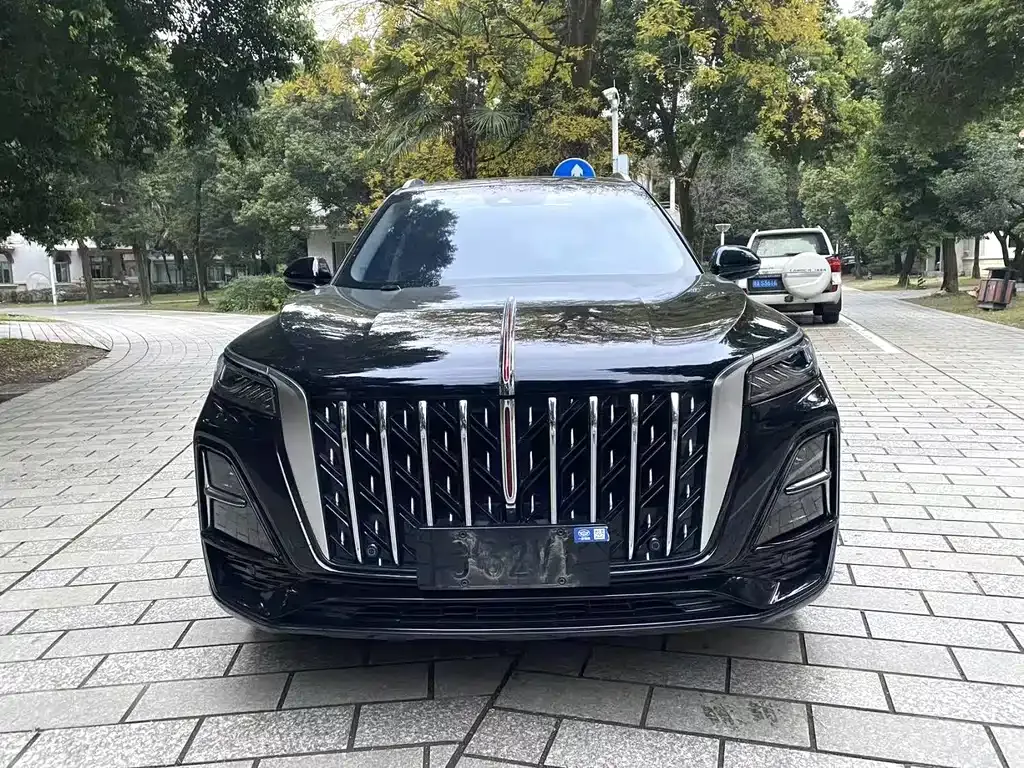 Hongqi HS5 2023 из CN, фото 6