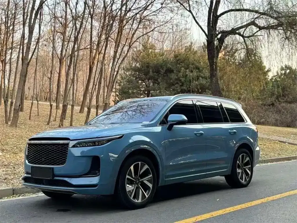 Li Auto ONE 2021 из CN, фото 1
