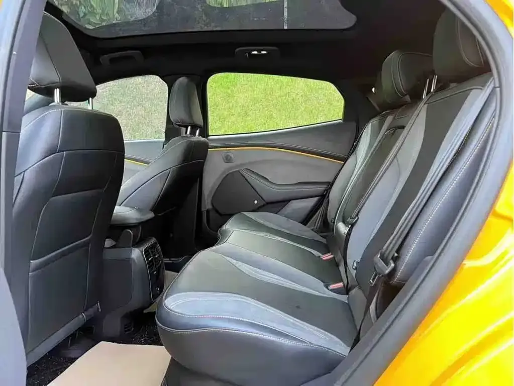 Ford Mustang Mach-E 2024 из CN, фото 4