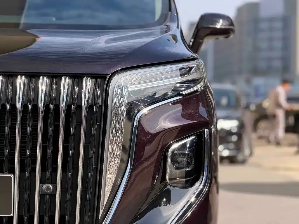Hongqi HQ9 PHEV 2024 из CN, фото 8