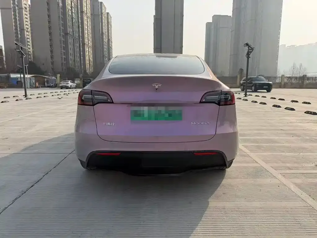 Tesla Model Y 2024 из CN, фото 5