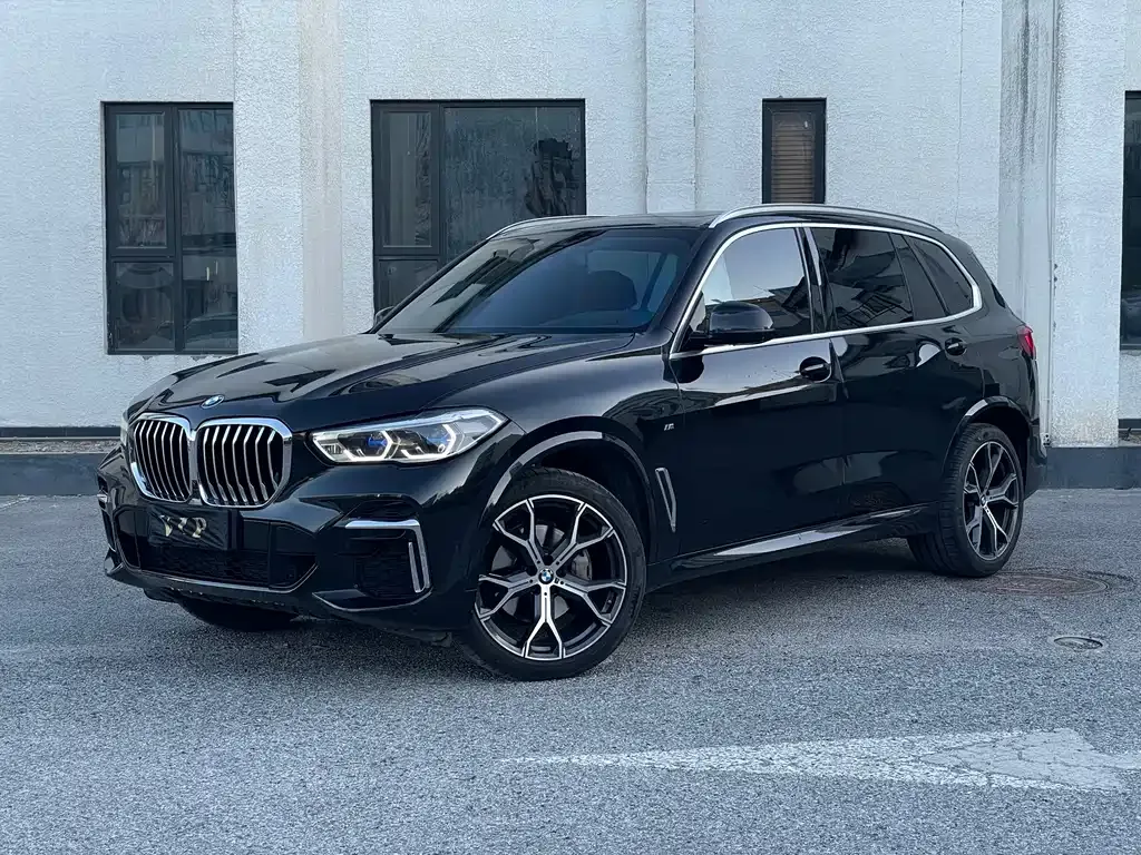 BMW X5 2023 из CN, фото 1