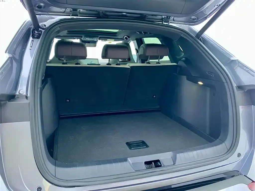 BYD PLUS New Energy 2025 из CN, фото 4