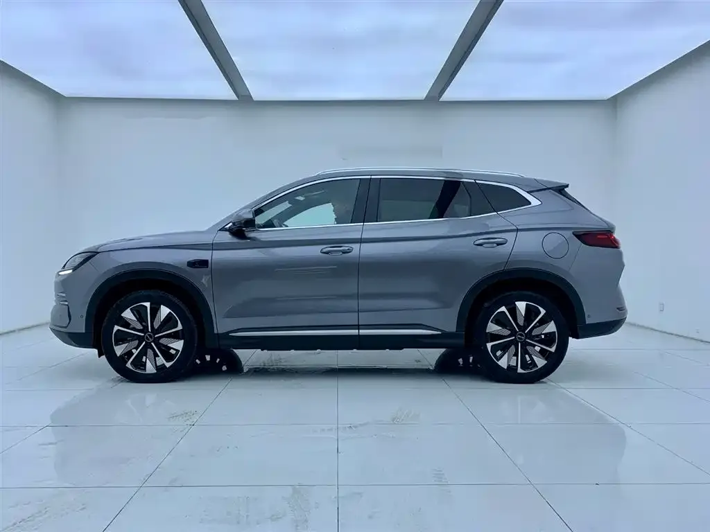 BYD PLUS New Energy 2025 из CN, фото 2