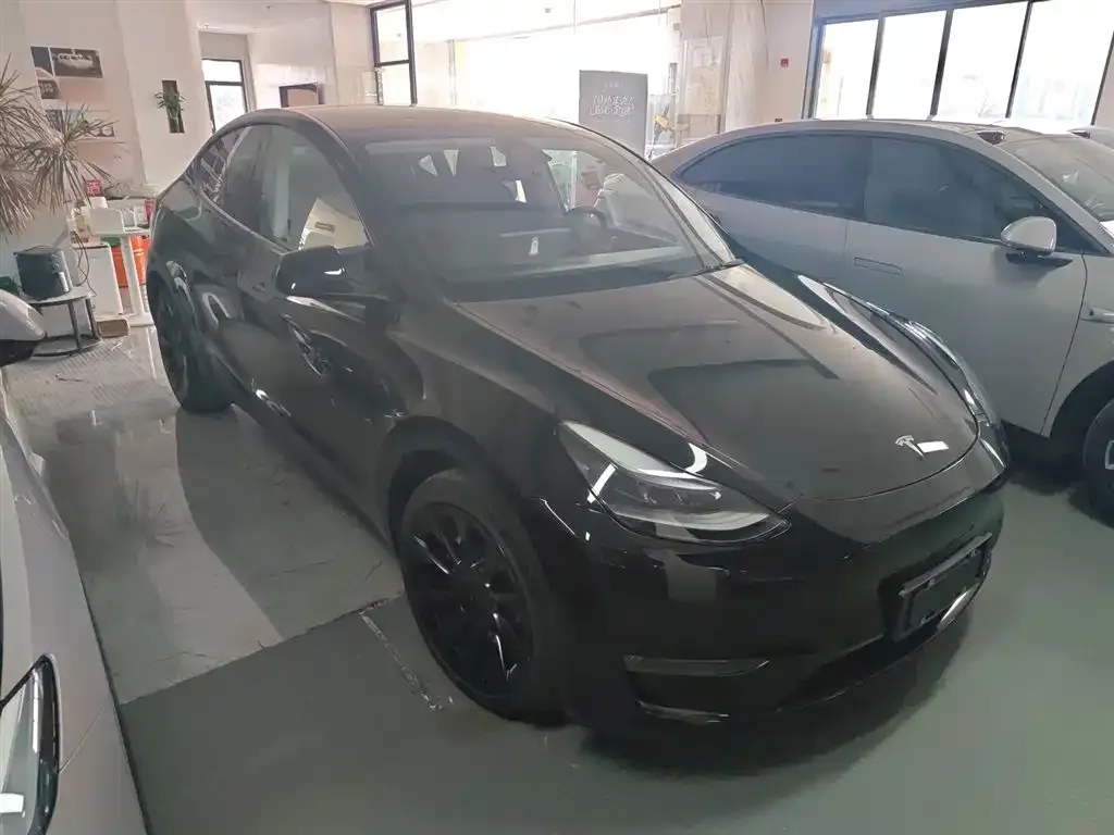 Tesla Model Y — фото 2