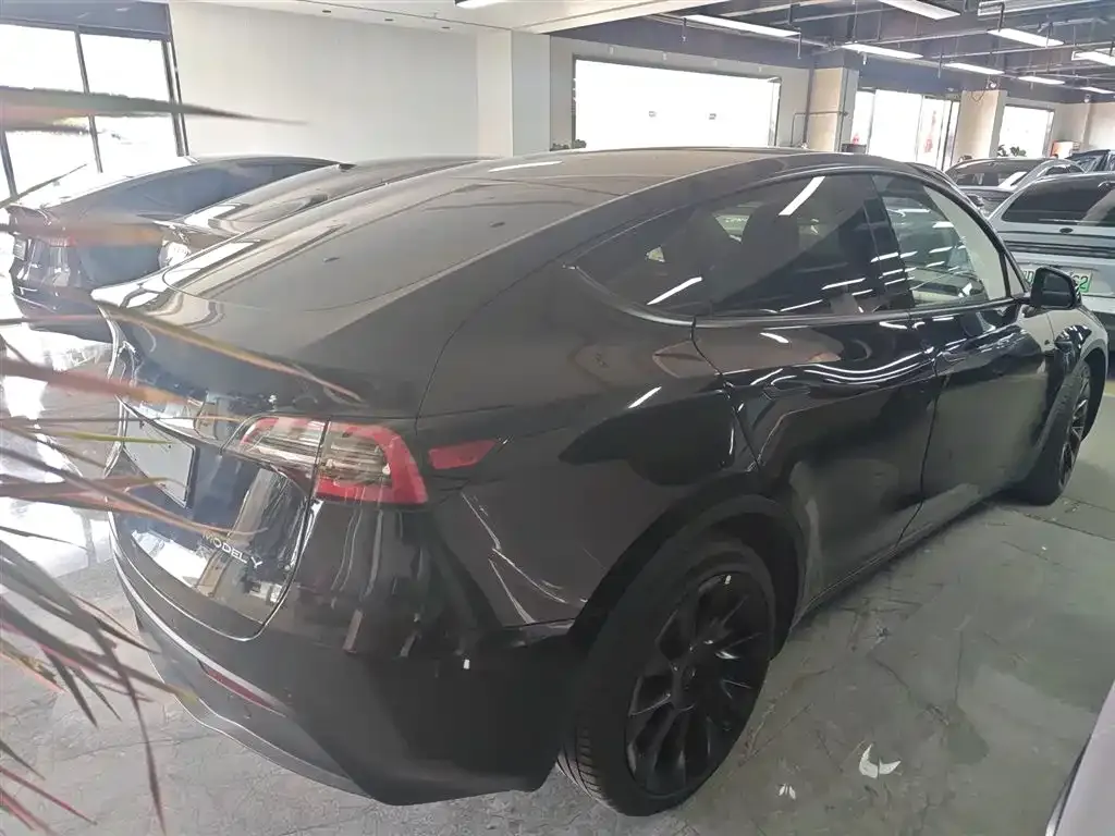 Tesla Model Y — фото 6