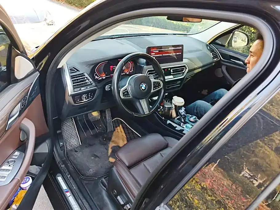 BMW X3 2022 из CN, фото 4