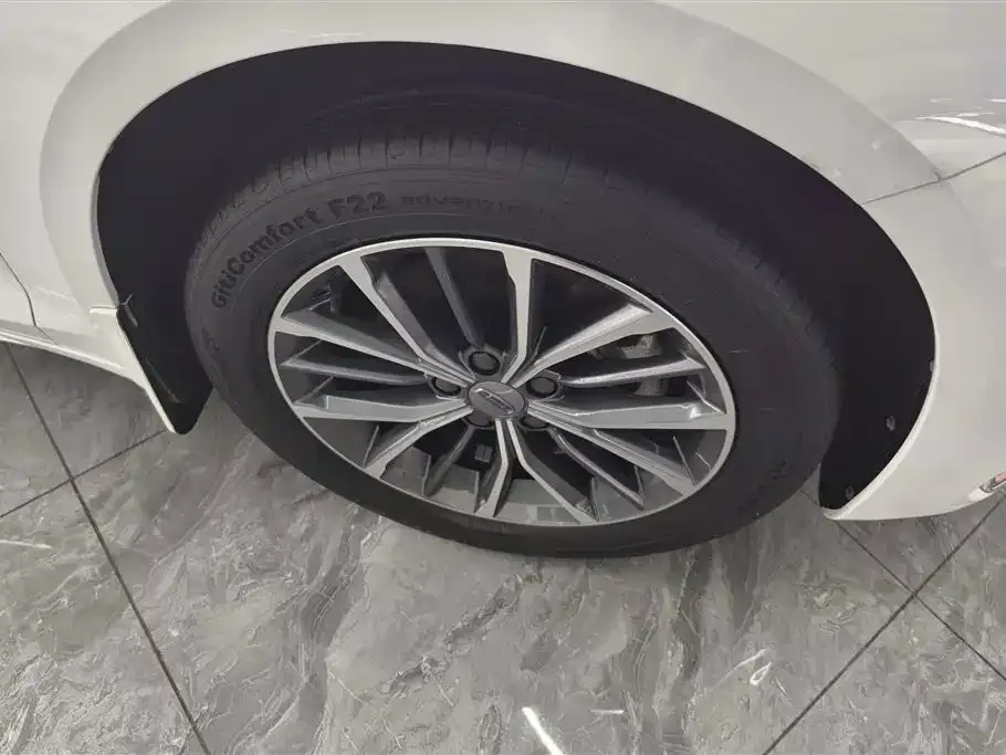 Geely Xingrui 2021 из CN, фото 4