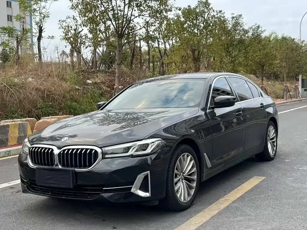 BMW 5 Series 2023 из CN, фото 1