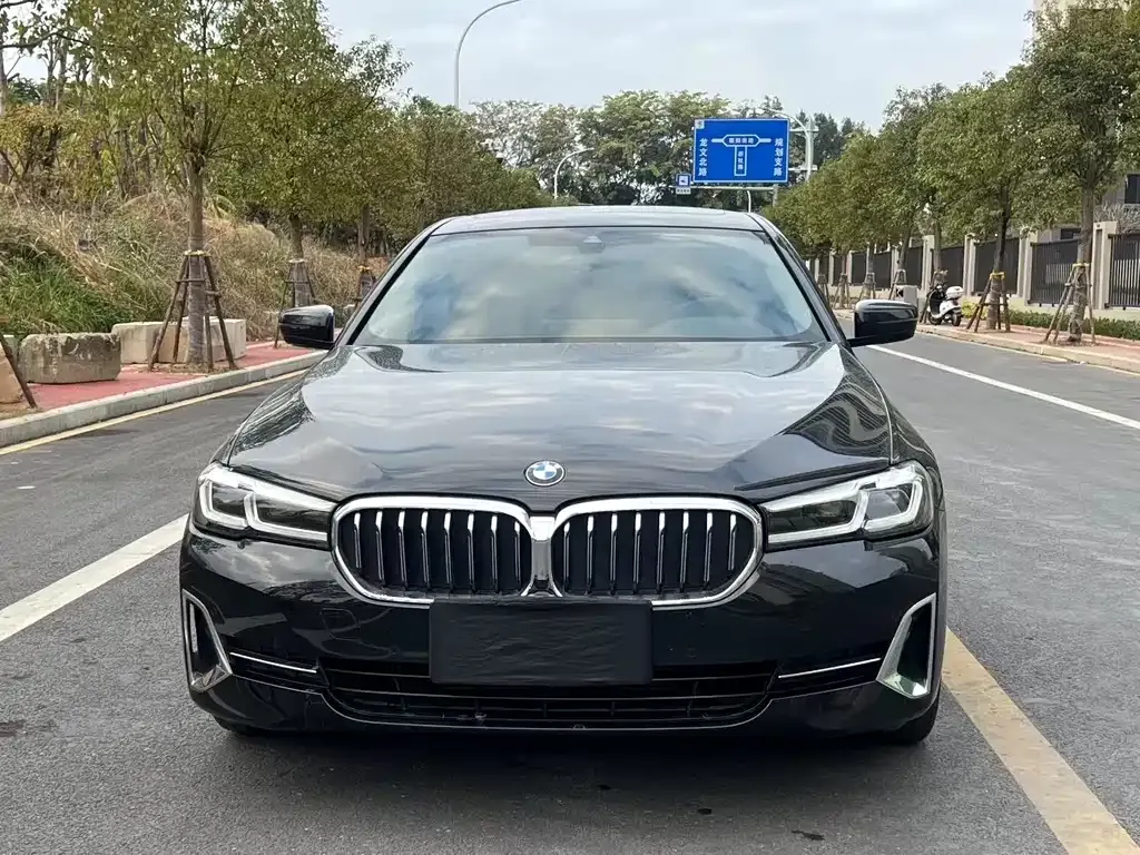 BMW 5 Series 2023 из CN, фото 7