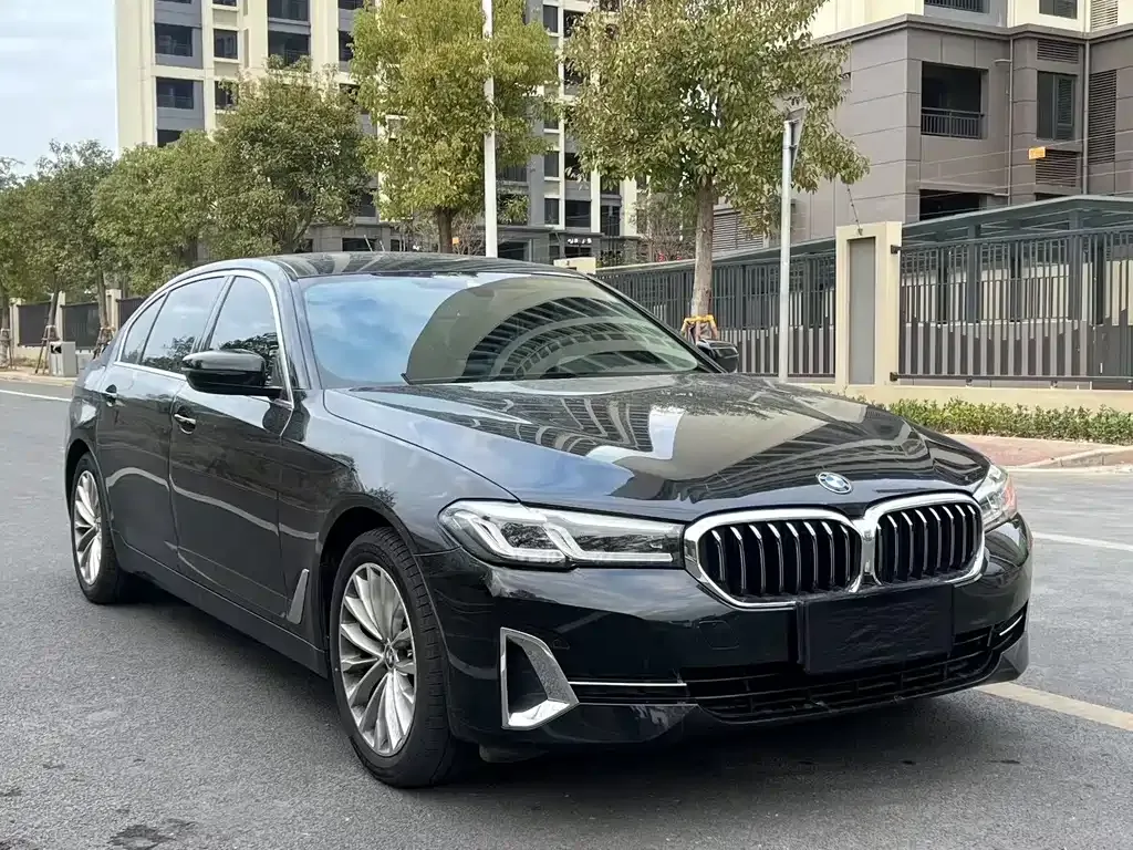 BMW 5 Series 2023 из CN, фото 6