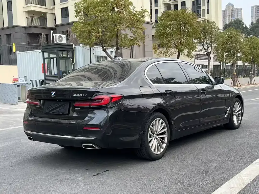 BMW 5 Series 2023 из CN, фото 3