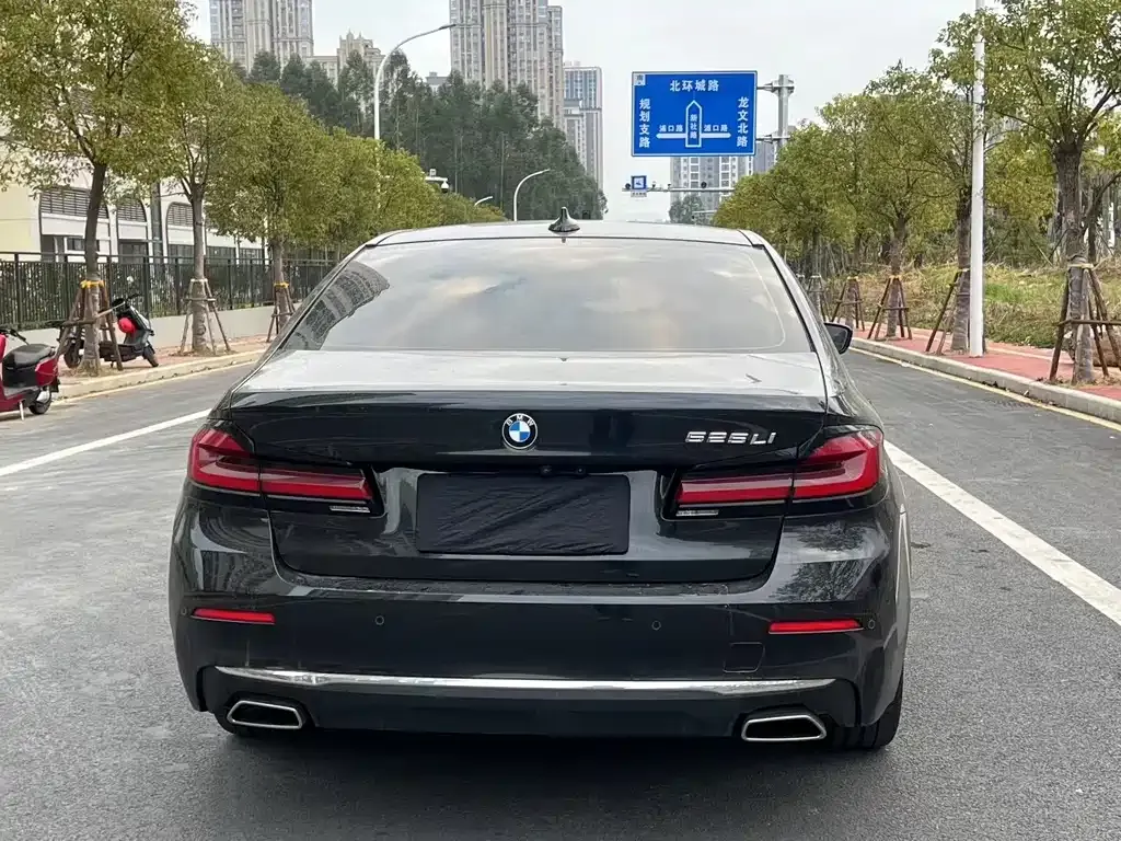 BMW 5 Series 2023 из CN, фото 5