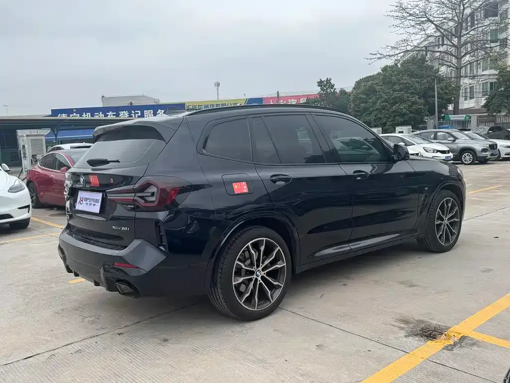 BMW X3 2024 из CN, фото 6