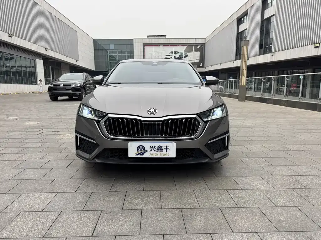 Skoda Octavia 2022 из CN, фото 2