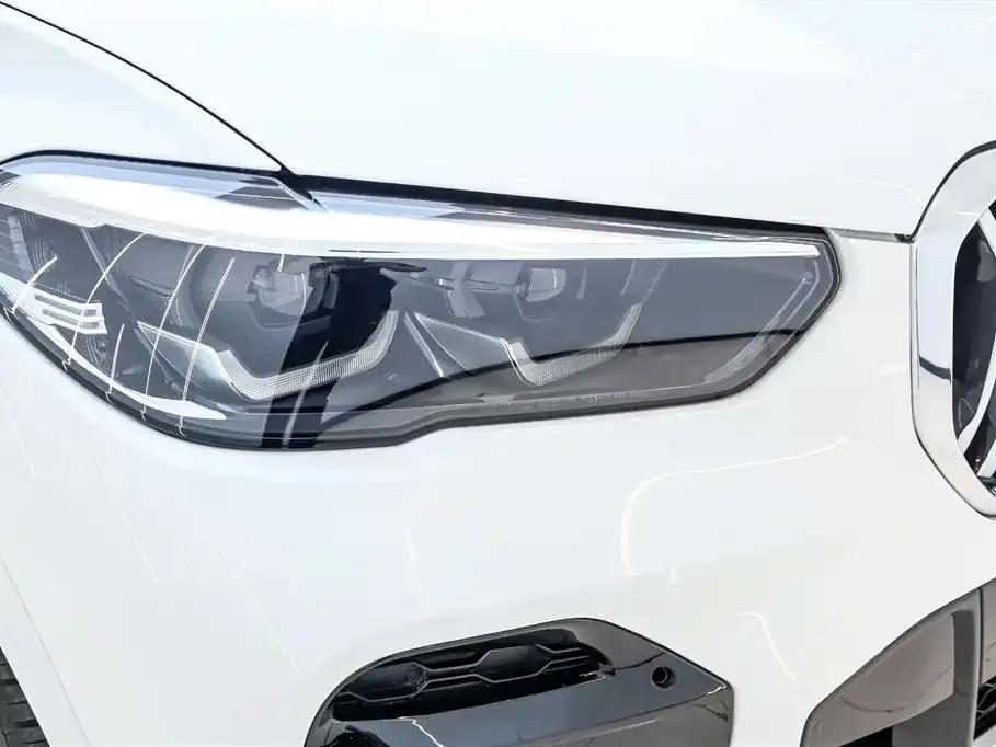 BMW X5 (Import) 2022 из CN, фото 9