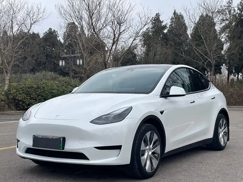 Tesla Model Y 2023 из CN, фото 1