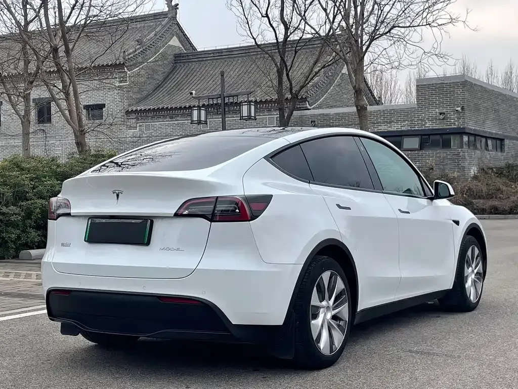 Tesla Model Y 2023 из CN, фото 3