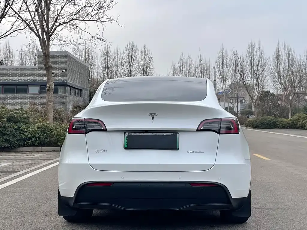 Tesla Model Y 2023 из CN, фото 4