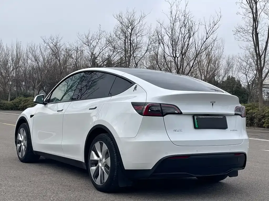 Tesla Model Y 2023 из CN, фото 8