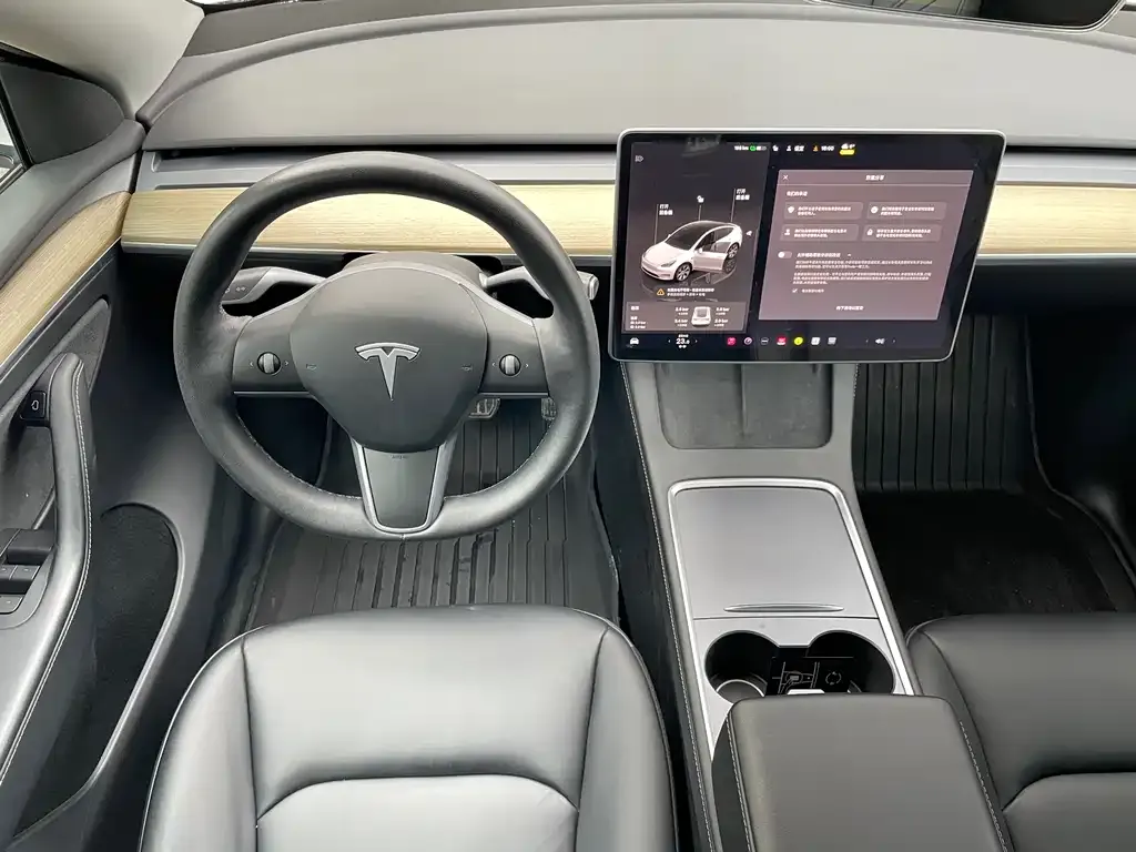 Tesla Model Y 2023 из CN, фото 6