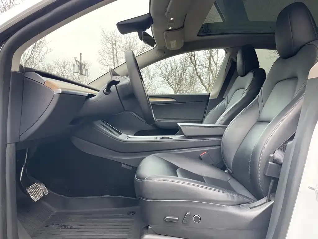 Tesla Model Y 2023 из CN, фото 7