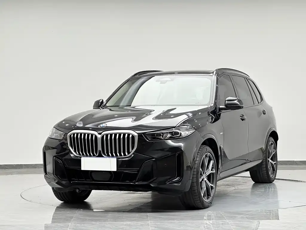 BMW X5 — фото 9