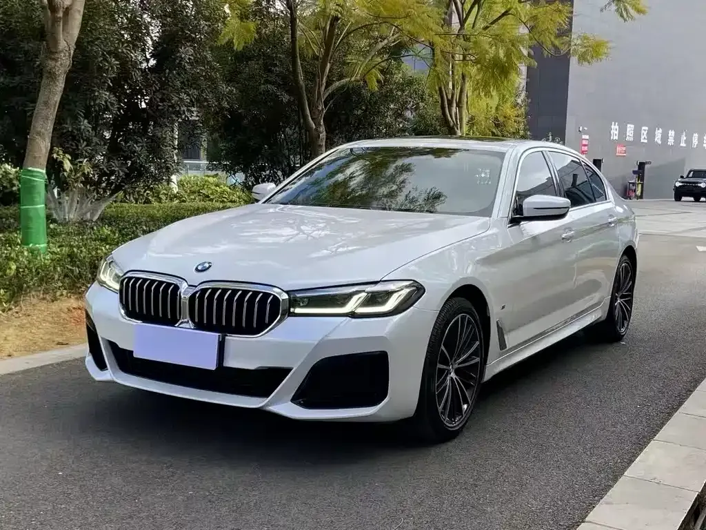 BMW 5 Series 2021 из CN, фото 1