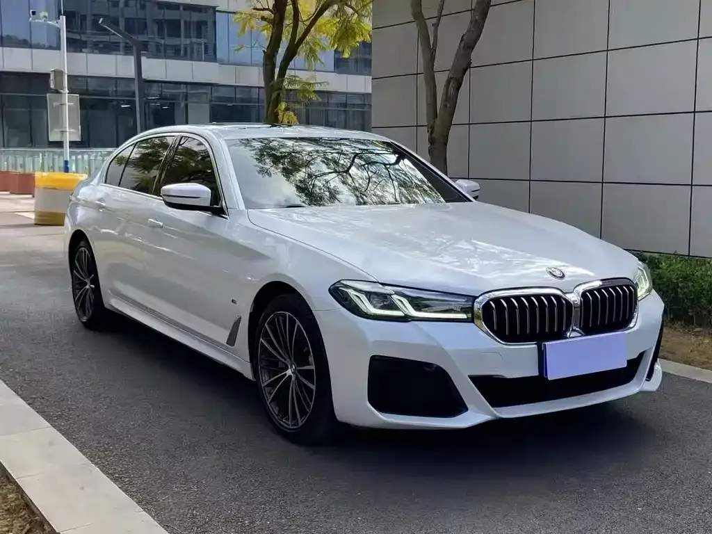 BMW 5 Series 2021 из CN, фото 5