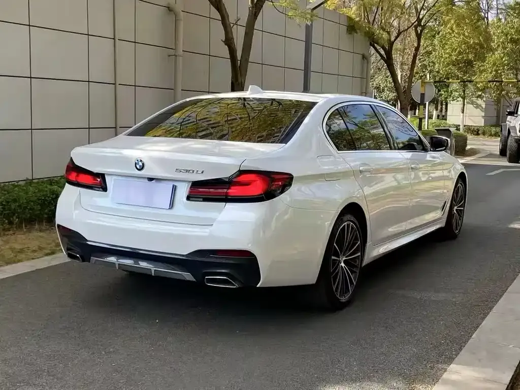 BMW 5 Series 2021 из CN, фото 3