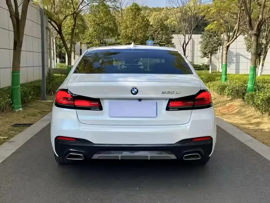 BMW 5 Series 2021 из CN, фото 6