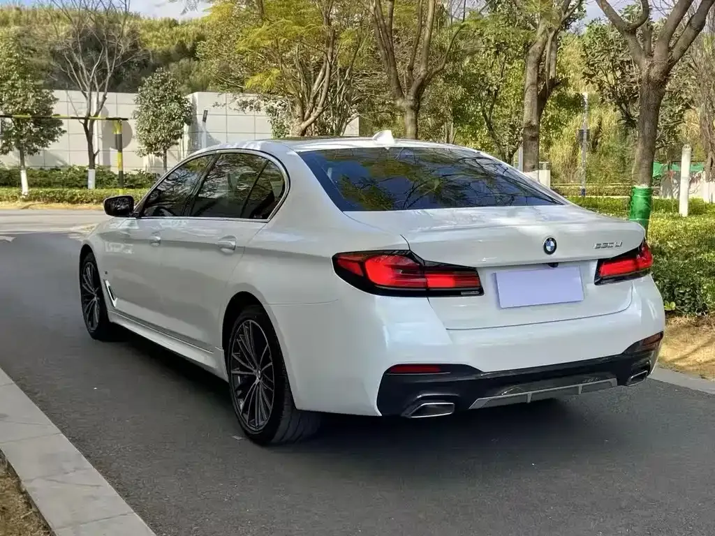 BMW 5 Series 2021 из CN, фото 4