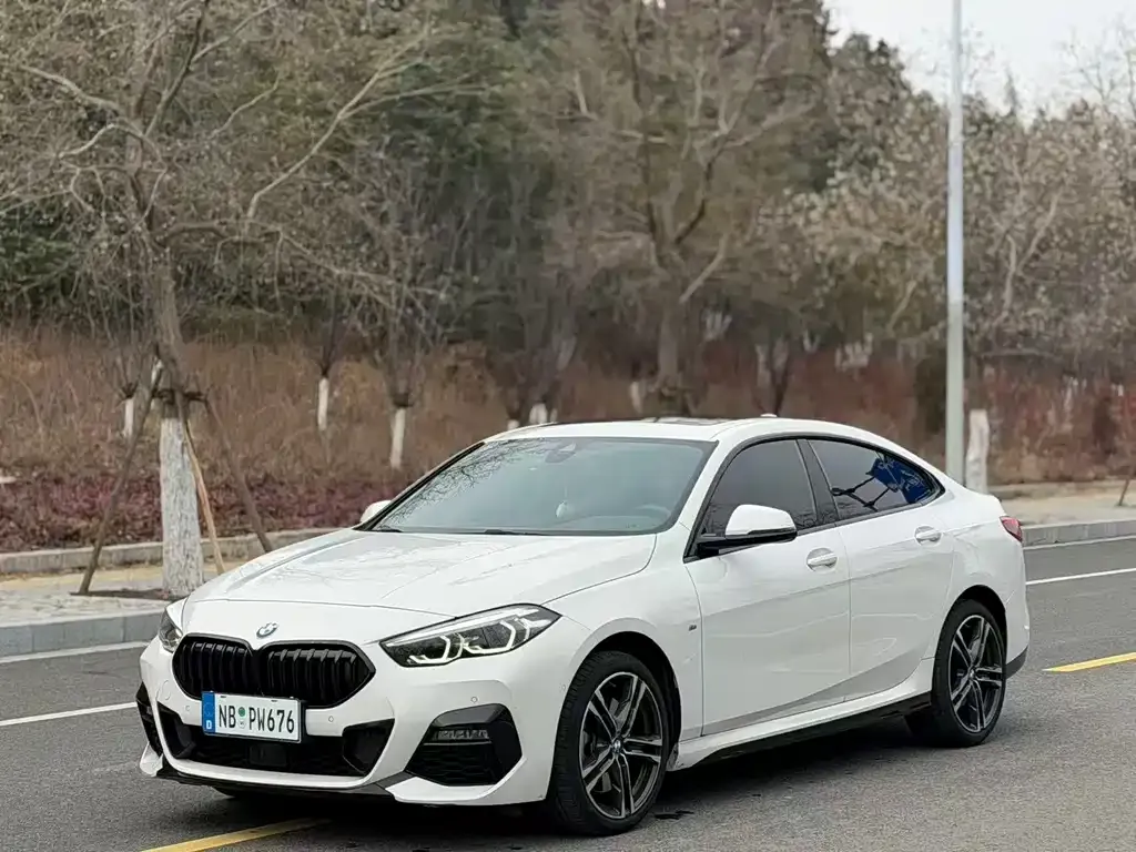 BMW 2 Series (Import) — фото 1