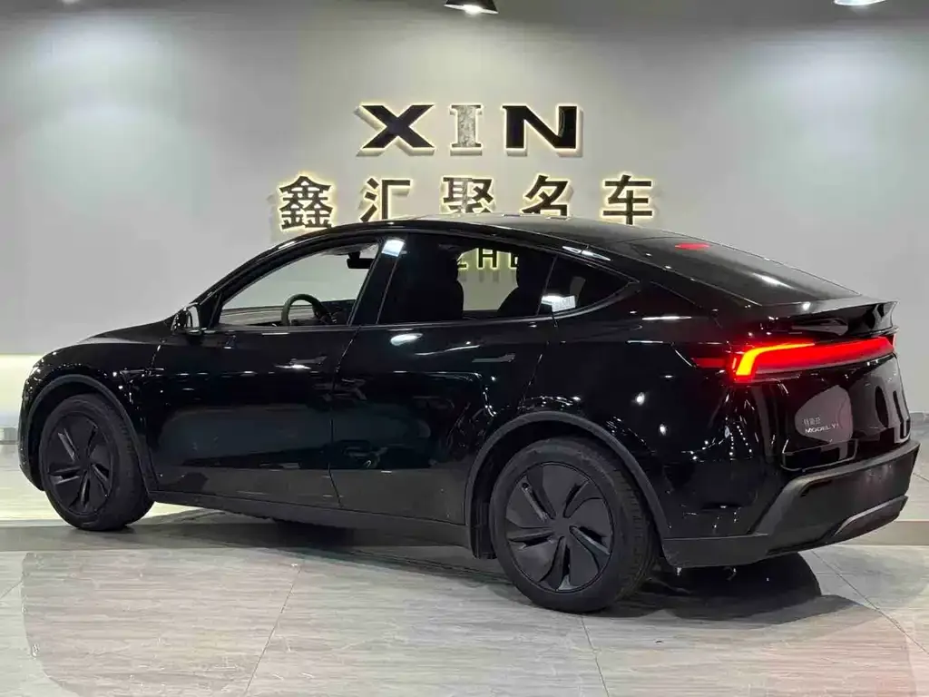 Tesla Model Y — фото 10