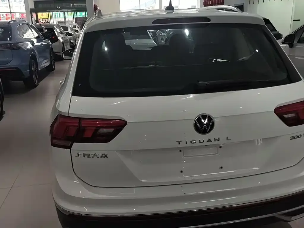 Volkswagen Tiguan L 2023 из CN, фото 3