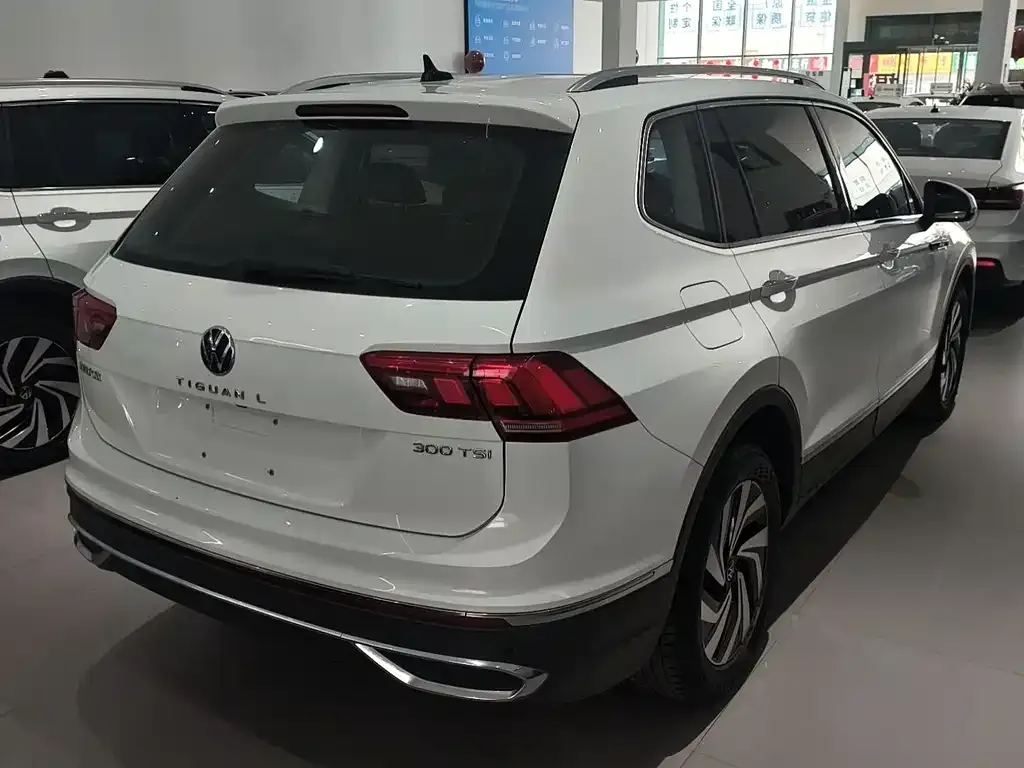 Volkswagen Tiguan L 2023 из CN, фото 5