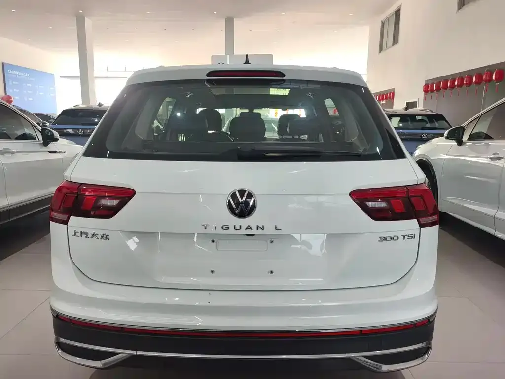 Volkswagen Tiguan L 2023 из CN, фото 9