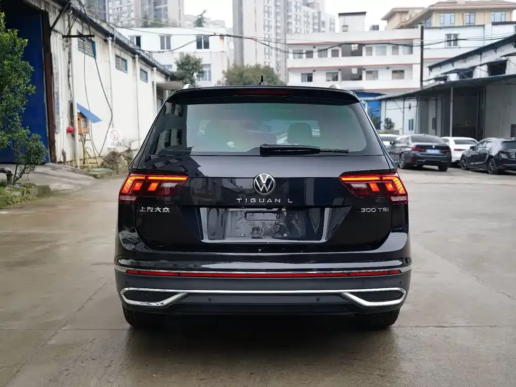 Volkswagen Tiguan L 2023 из CN, фото 3