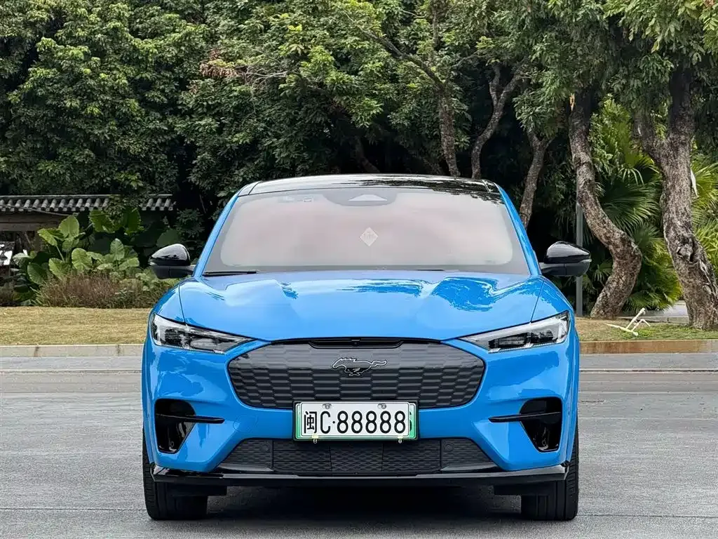 Ford Mustang Mach-E 2022 из CN, фото 5