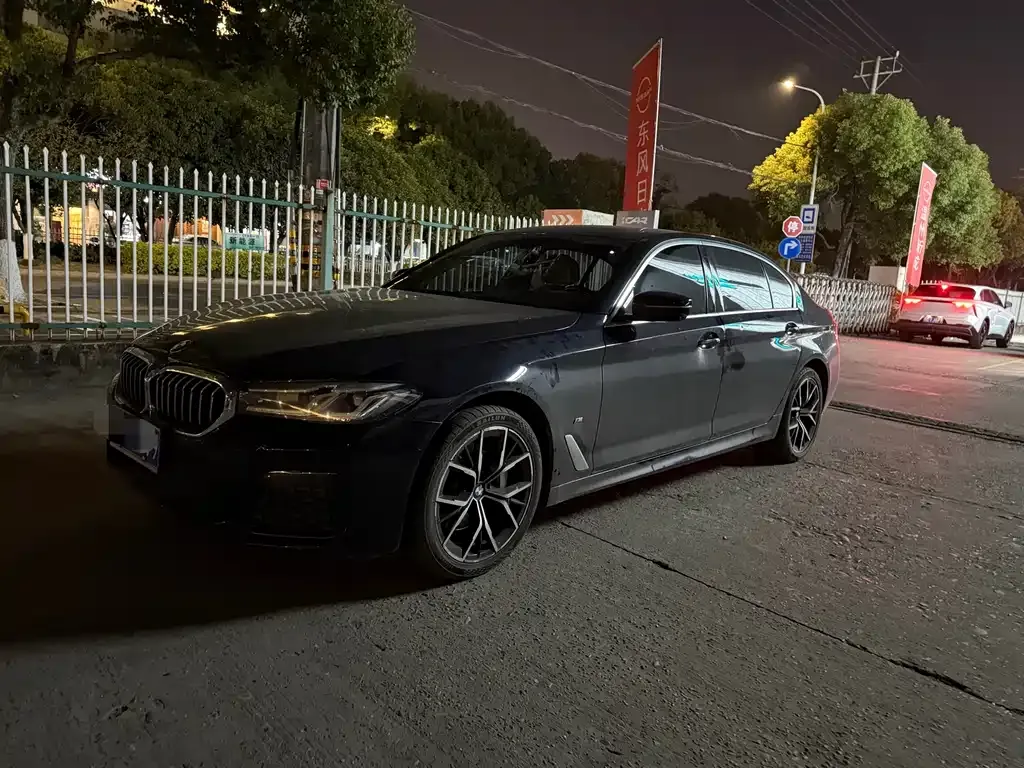 BMW 5 Series 2021 из CN, фото 1