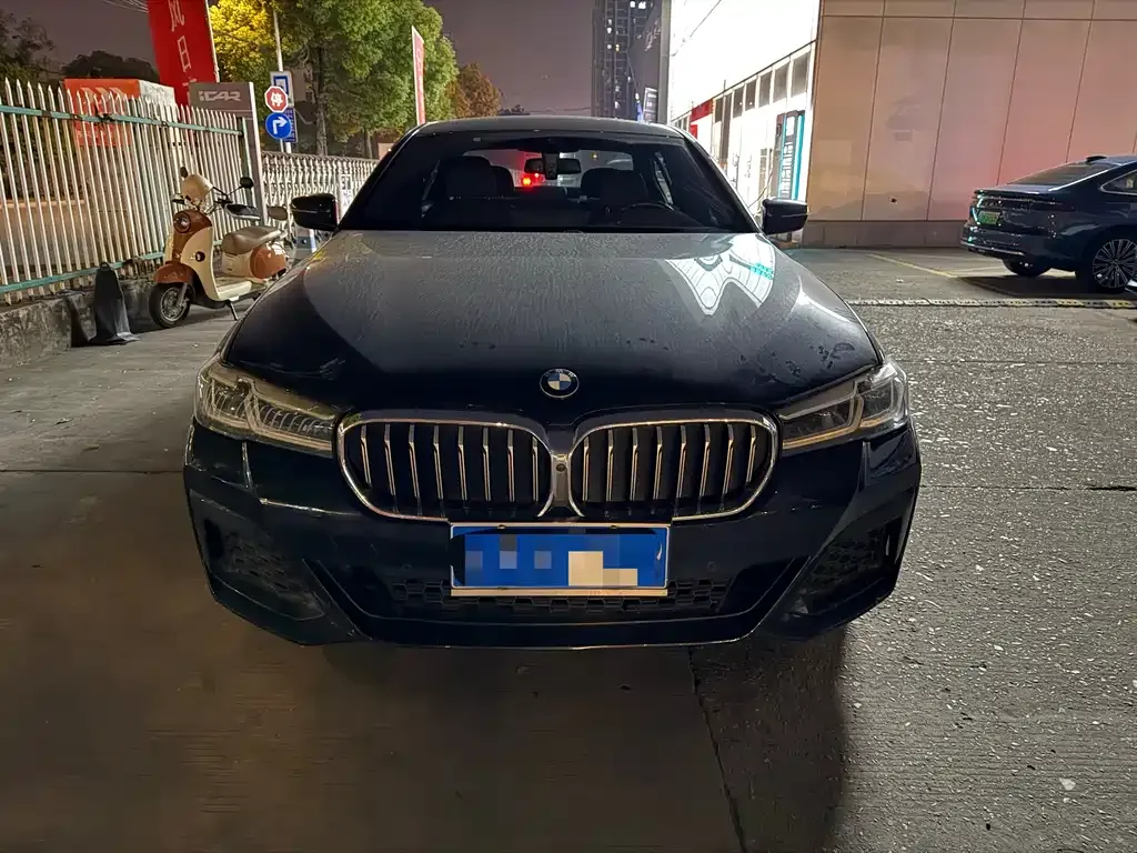 BMW 5 Series 2021 из CN, фото 8