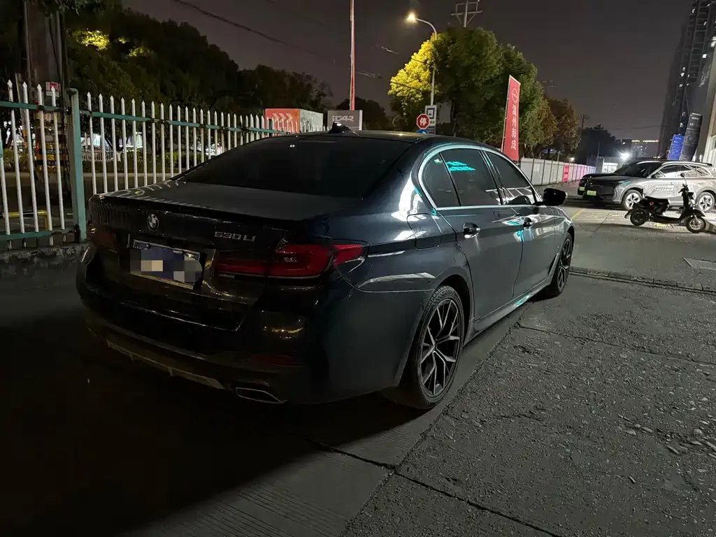 BMW 5 Series 2021 из CN, фото 5