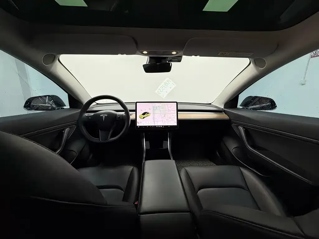 Tesla Model 3 2021 из CN, фото 5