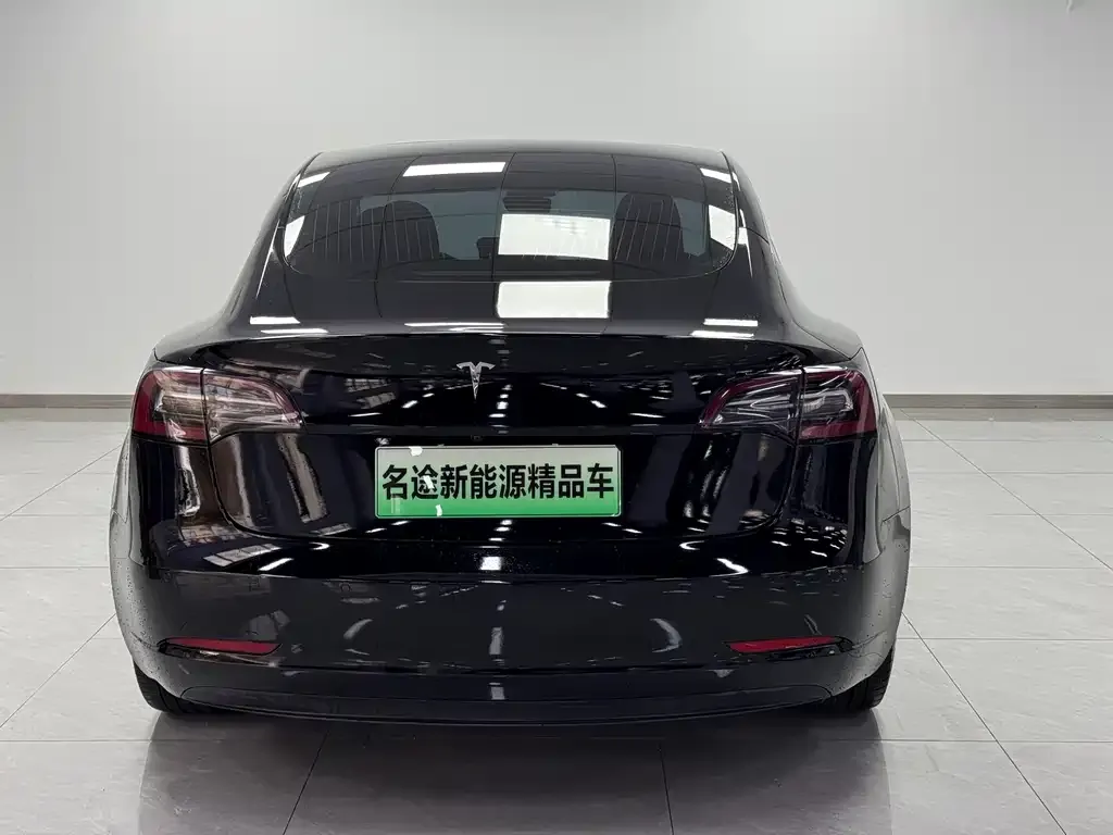 Tesla Model 3 2021 из CN, фото 4