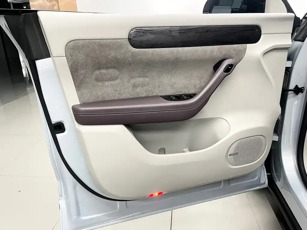 Leapmotor C11 2022 из CN, фото 2