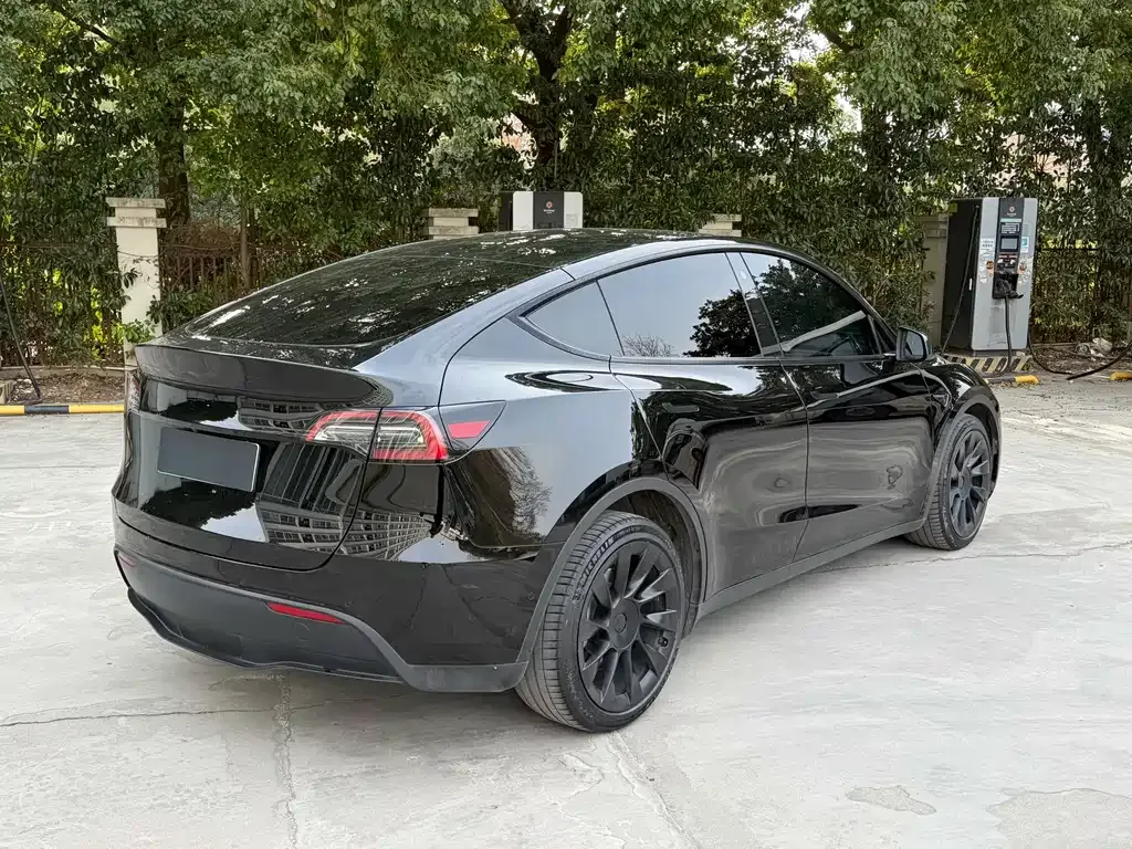 Tesla Model Y — фото 5