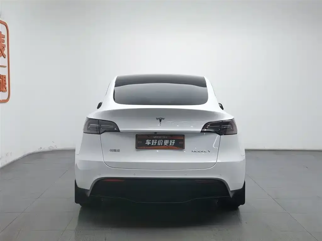 Tesla Model Y 2022 из CN, фото 2