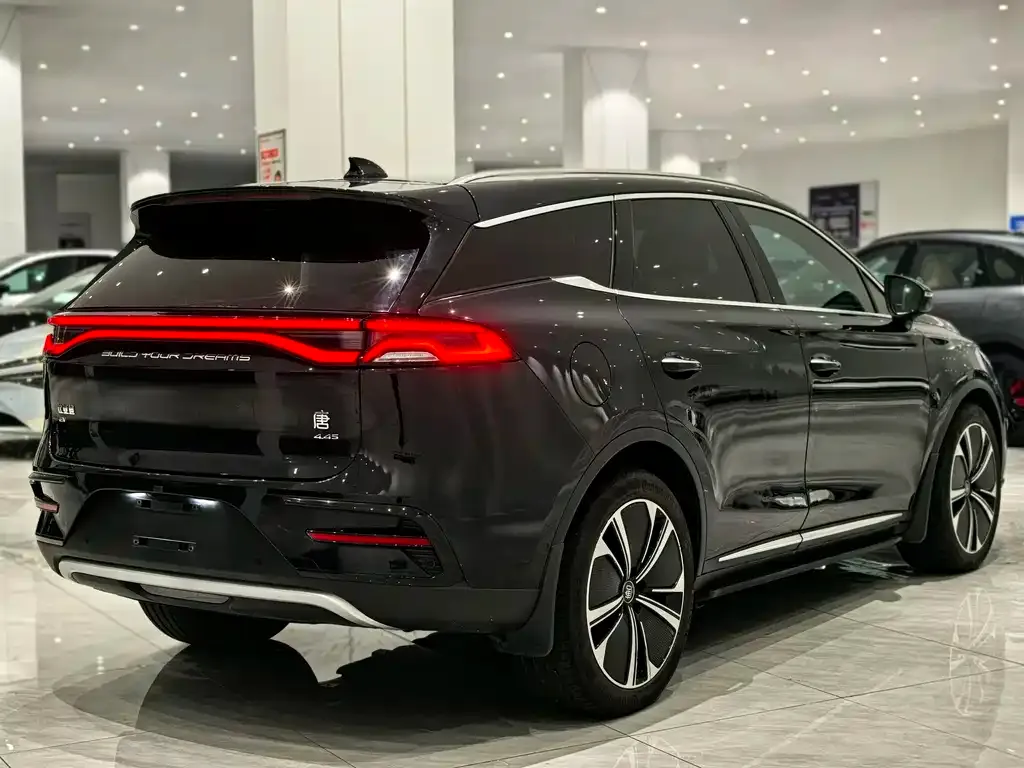 BYD Tang New Energy 2021 из CN, фото 7