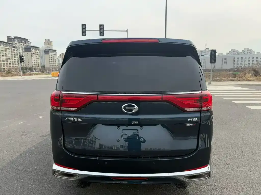 GAC Motor Trumpchi M8 2023 из CN, фото 8